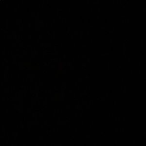 Meet your Posher, Alana